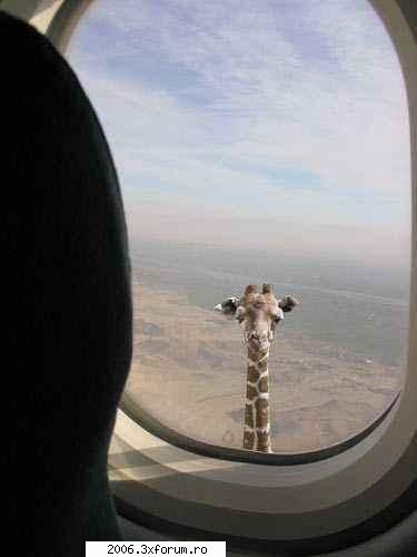 cine a fost in africa, cine a fost in africa, stie